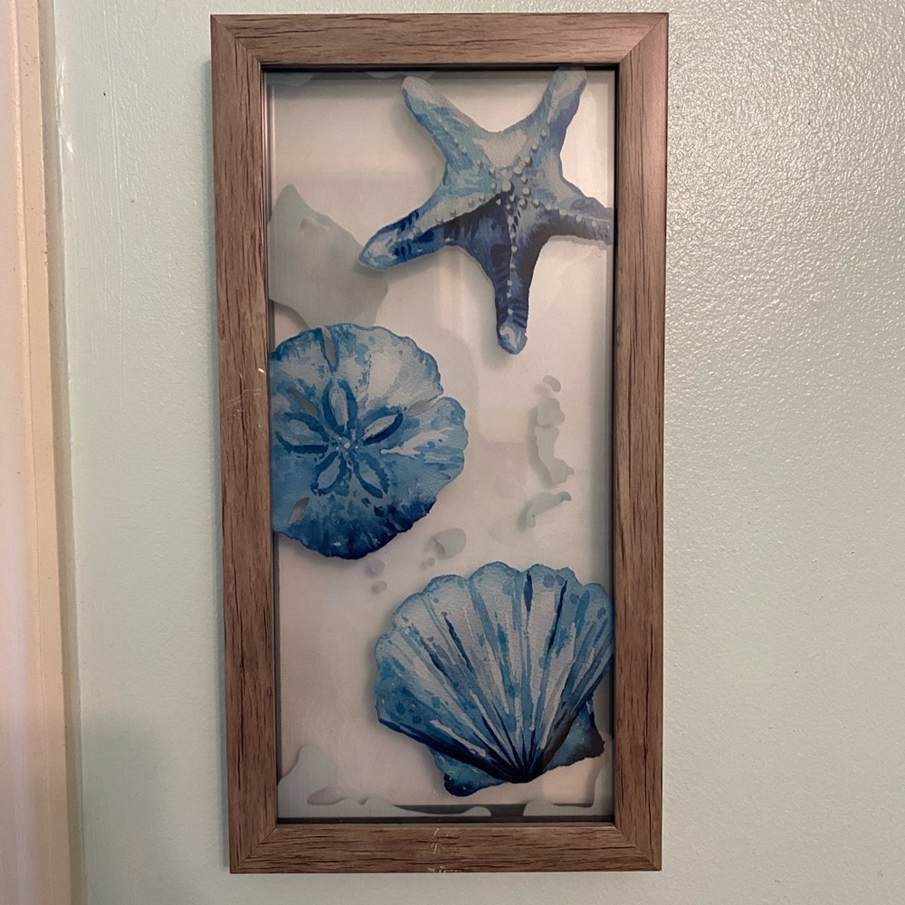 Shell picture